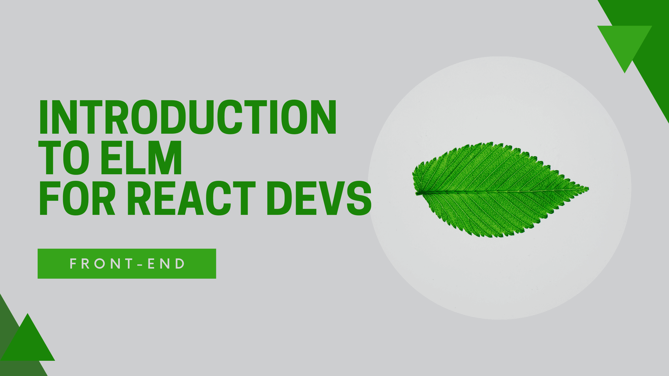 Introduction to Elm programming language for React developers